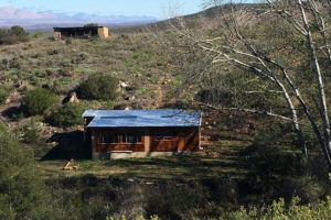 Heath House and Forest